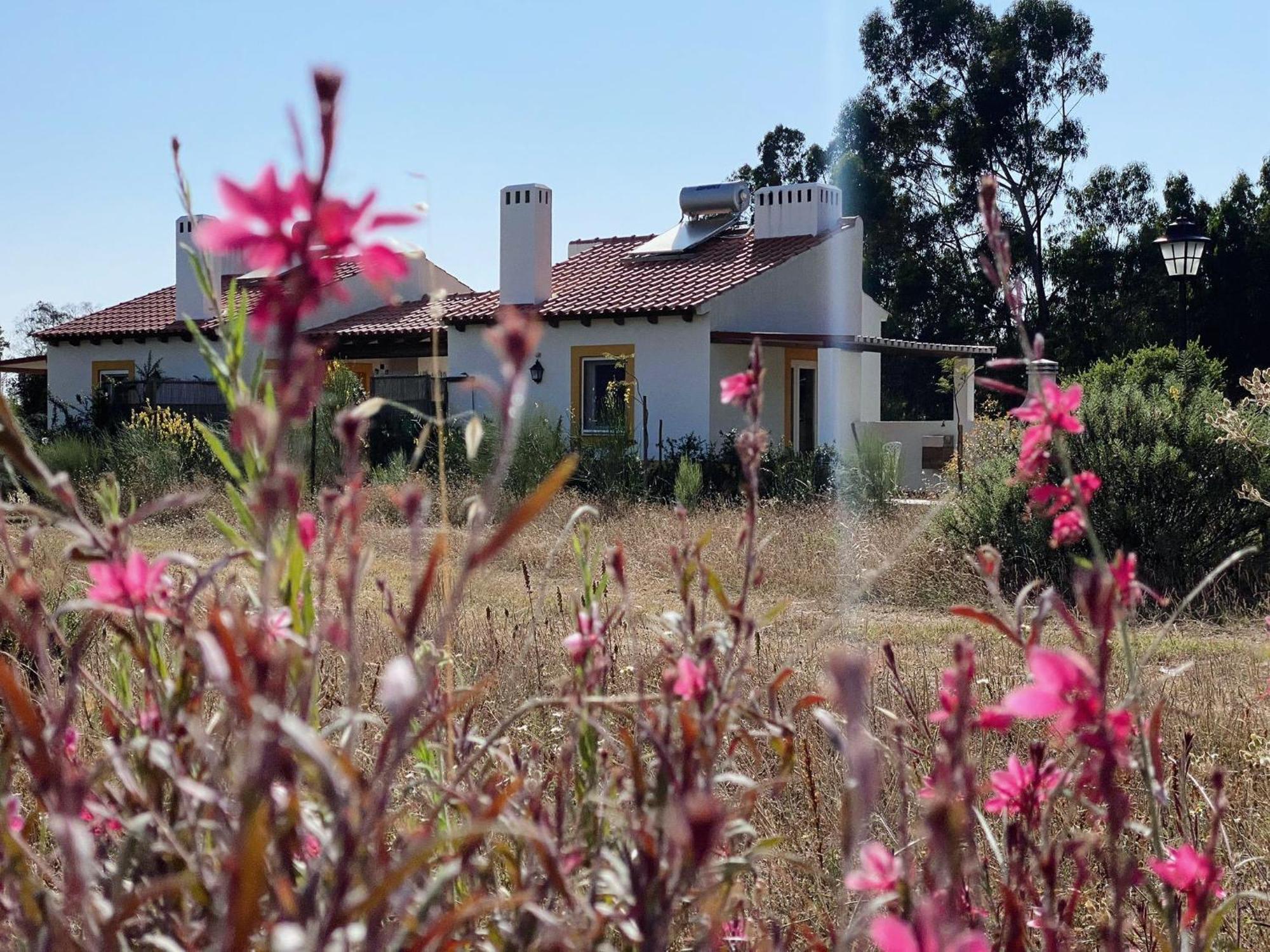 Monte Dos Cachoupos Villa São Luis Exterior foto